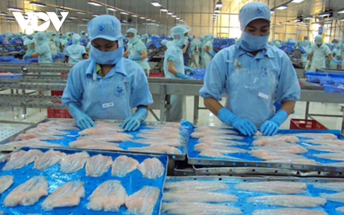 Vietnamese pangasius exports to ASEAN market surge